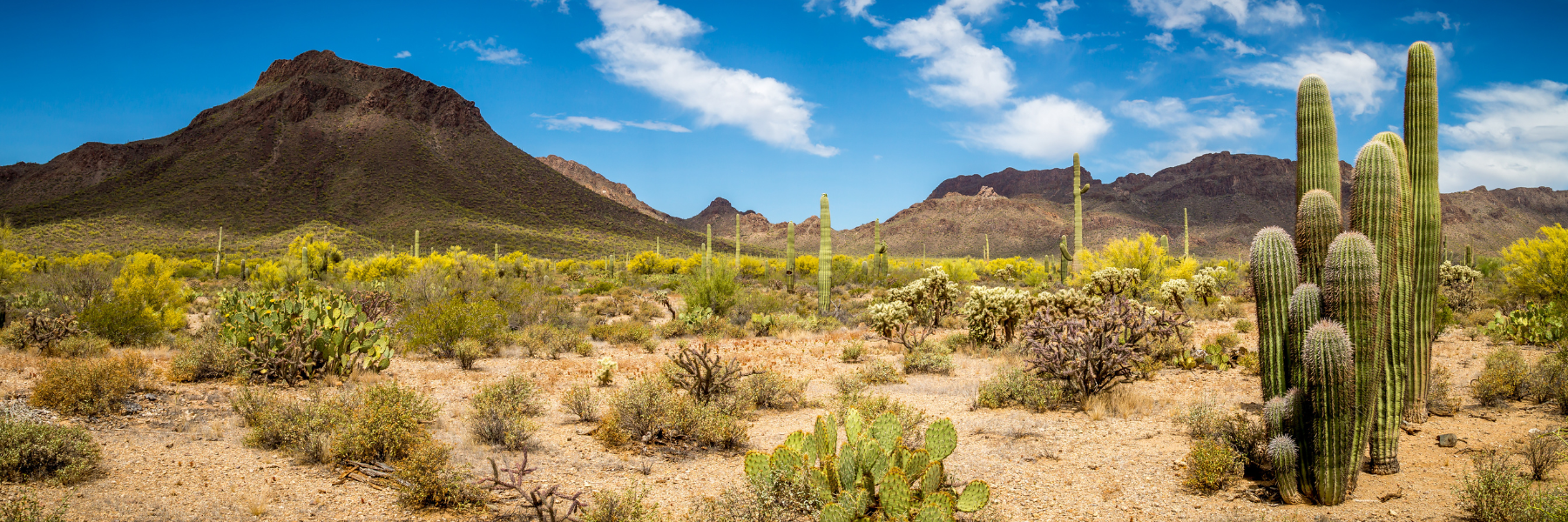 General Dentistry | Dentist