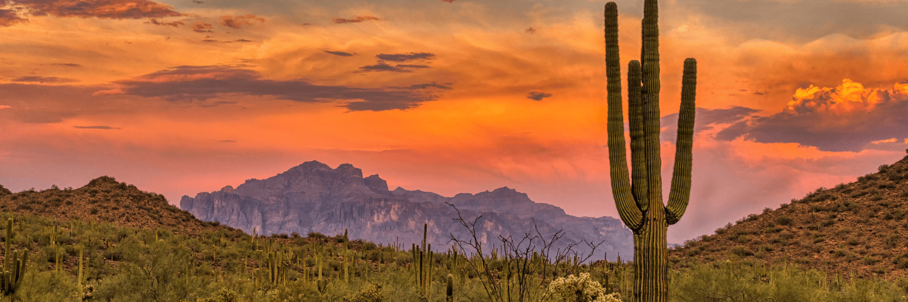 invisalign scottsdale | desert scenery
